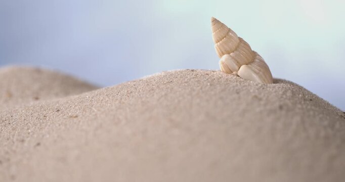 Super Slow Motion Spiral Shell Perched On Dune In Super Slow Motion
