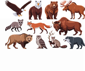 Flat north american wild animals collection set including eagle bear moose fox raccoon bison owl beaver and gray wolf. © Zahangir