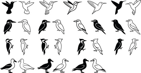Collection of diverse wild bird silhouettes and line art icons featuring hummingbirds woodpeckers and various avian species presented in a clean minimalist style suitable for creative projects on tran © designNex