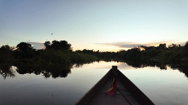 Wooden Canoe Navigating the Amazon River in Bolivia at Sunset, Madidi National Park