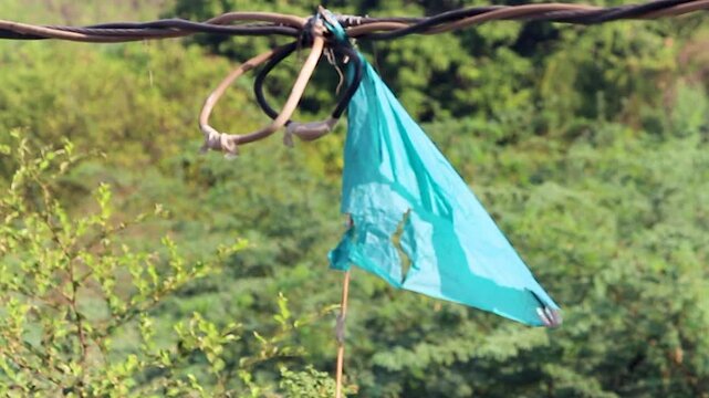 Torn kite tangled on overhead wire after festival, symbolizing failure, risk, and aftermath of celebration. Ideal for storytelling on setbacks, urban hazards, or festive context.