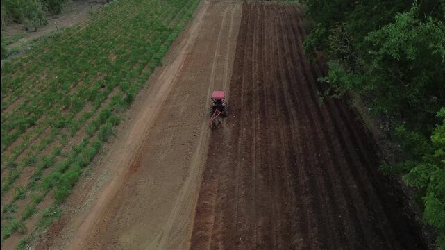 Aerial top view of a red tractor plowing dark brown soil in a rural farm field next to green crop rows under soft natural lighting, showing agricultural industry and land preparation.