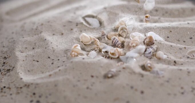 Super Slow Motion Shimmering Shells And Soft Sands Inspire Marine Expedition