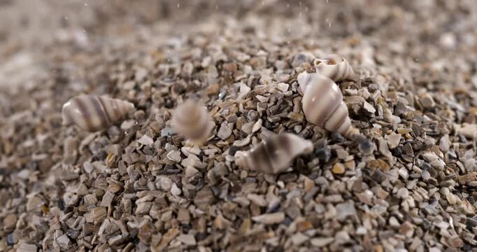 Super Slow Motion Cluster Of Small Shells In Super Slow Motion