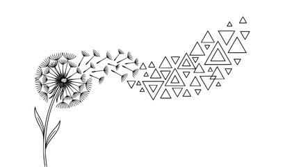 Abstract dandelion seeds transforming into geometric triangles minimalist black and white line art vector © Surjo