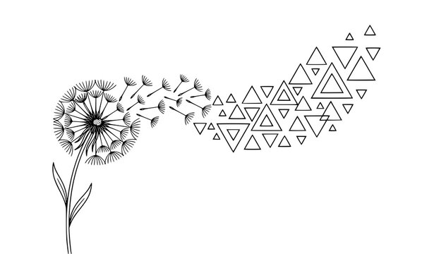 Abstract dandelion seeds transforming into geometric triangles minimalist black and white line art vector