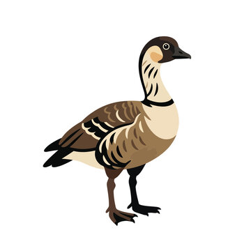 Nene Goose Vector Illustration Isolated Hawaiian Bird Profile