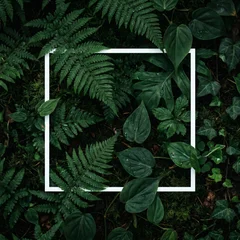 Dark green tropical foliage with white square frame for copy space background © Tegar Ramadhani