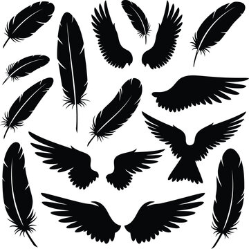 Black feathers and wings set Vector