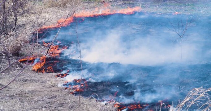 Experience the fiery spectacle of a wildfire in broad daylight, as it rapidly spreads through dried grass. This awe-inspiring scene highlights the duality of beauty and danger in nature.