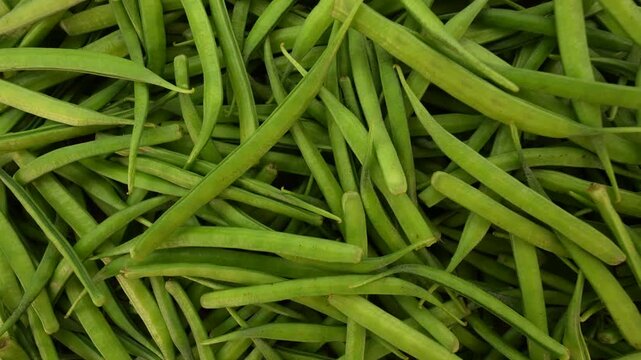 Fresh cluster beans top view. Cyamopsis tetragonoloba. Guar beans.
