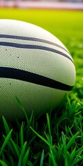 Fototapeta premium Close-up of a textured rugby ball on lush green turf, set for a thrilling match, game, grass