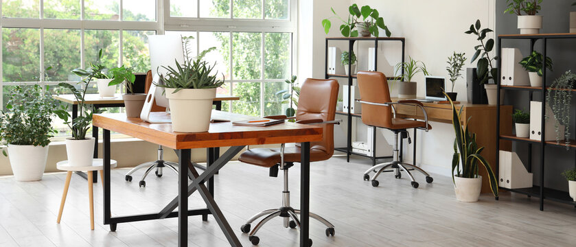Interior of office with desks, shelf units and green plants
