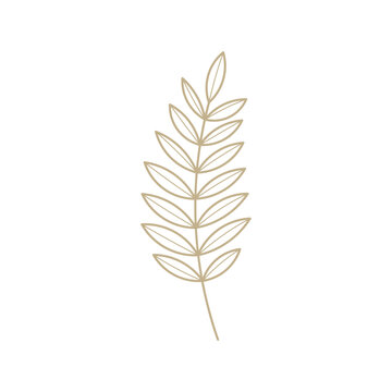 Luxury Gold Fern Leaf Branch - Minimalist Botanical Line Art Vector for Organic Branding and Elegant Floral Stationery