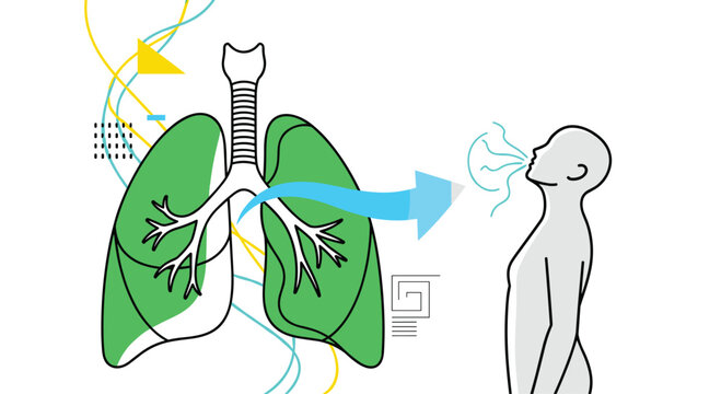 Respiratory system concept showing human lungs with green sections and a person silhouette breathing in fresh air for health awareness.