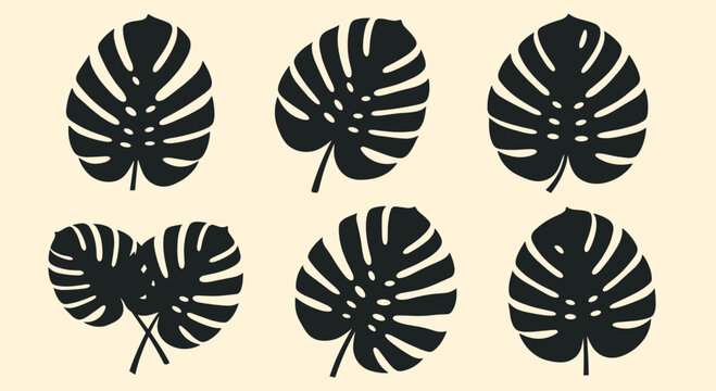 Set of six black monstera leaf silhouettes arranged in different orientations on a light cream background for nature design.