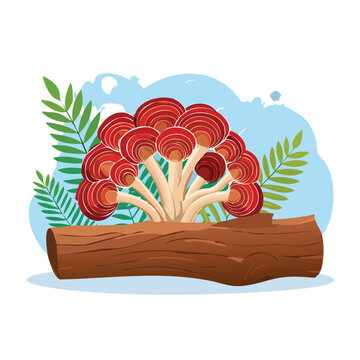 Vibrant red mushroom cluster growing on a fallen log illustration
