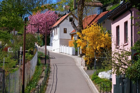 Telthusbakken famous steep picturesque street in St. Hanshaugen neighborhood in Gamle Aker district of Oslo city, Norway. Spring time blossoms.