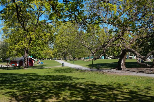 Spring time view in May in Oslo, Norway. Public Sofienberg Park (Sofienbergparken).
