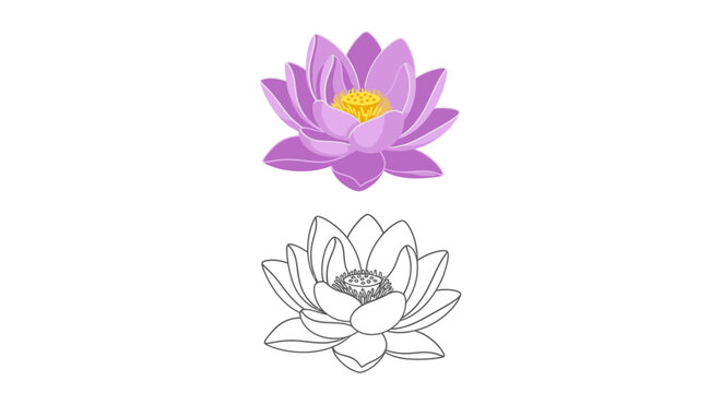 Purple Lotus Flower Vector Illustration and Line Art Outline Set