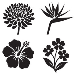 Obraz premium Silhouette flowers chrysanthemum bird of paradise hibiscus and floral cluster in simple black icons highlighting diverse botanical forms