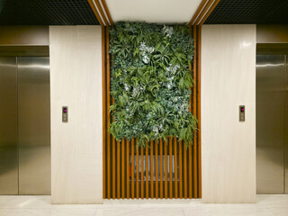 Vertical garden on hallway wall between two elevator doors. Interior design with living plant wall. Sustainable modern office lobby decor and eco-friendly biophilic architecture concept. © Olesia Basova