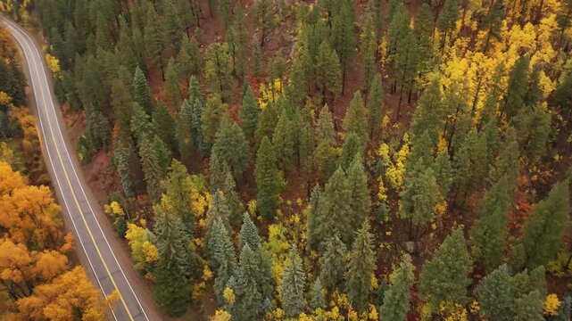 Aerial drone footage of Williams Creek Reservoir and Wolf Creek Pass during colorful autumn season