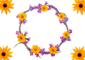 Obraz premium Yellow coreopsis, rudbeckia, pink fireweed, veronica and purple bellflowers, wreath on white background with copy space for text. Top view, flat lay