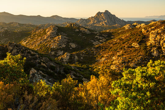 Mediterranean landscape featuring rocky mountains and green maquis bathed in golden light, overlooking the sea, perfect for tourism and adventure travel in Agriates desert, Corsica.