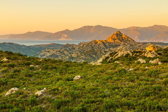 Agriates desert landscape featuring rugged rocky hills, dense maquis vegetation, and distant mountains meeting the sea under golden light, a scenic Corsica tourism destination.
