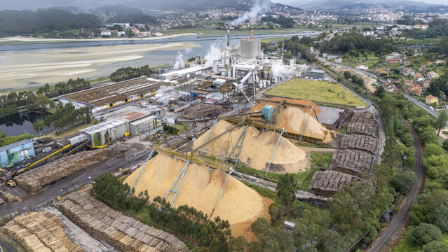 Aerial view of the Biofabrica de Ence industrial facility with large wood chip piles and steam rising near the estuary in Pontevedra, Pontevedra, Spain.