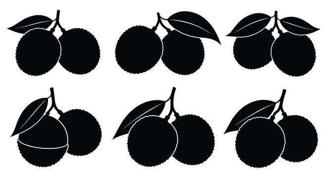 Longan fruit silhouettes with leaves black on white background