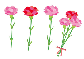 Obraz premium カーネーションの花イラストセット01