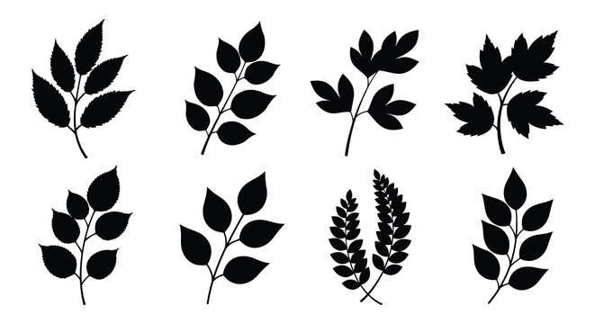 Leaf silhouettes collection black botanical shapes on white background