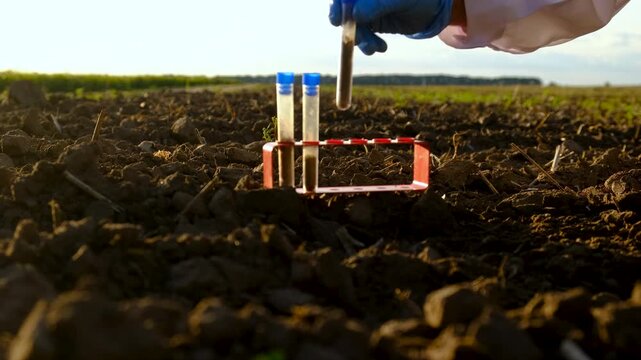 Field soil samples for analysis. Selective focus.