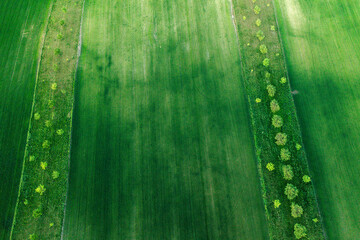 Fototapeta premium Aerial drone view of agriculture landscape in Moravia
