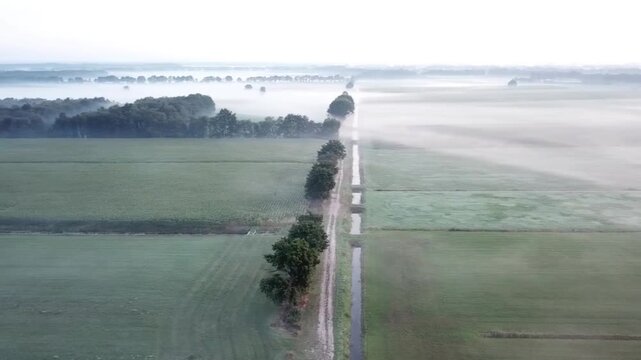A hauntingly beautiful aerial video of a misty early morning landscape in Kerkenveld, Drenthe, Netherlands. Soft layers of fog drift and settle between the trees, creating an ethereal and atmospheric