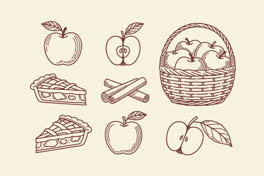 Hand drawn apple pie slices whole apples half apples and cinnamon sticks in a basket apple basket