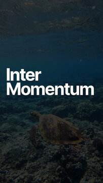 Vertical Inter Momentum
