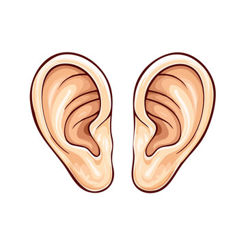 Two detailed cartoon human ears with delicate shading and clean outlines on a white background