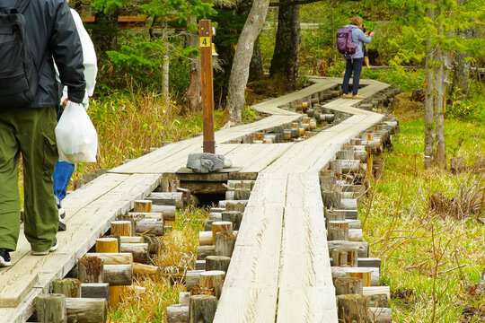 上高地の岳沢湿原の遊歩道