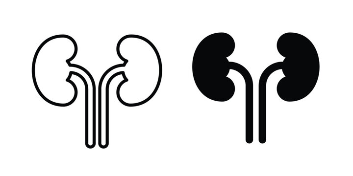 Kidney icon design illustrator set. Icons in line and clipart