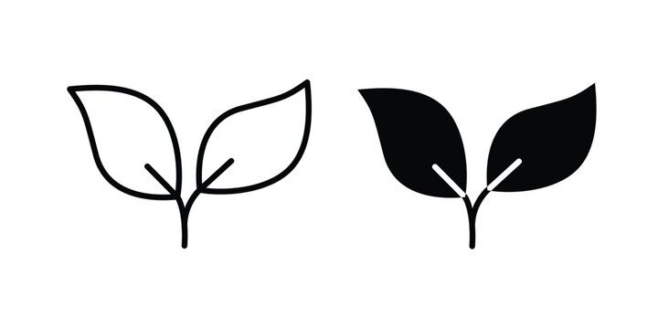 leaves icon design illustrator set. Icons in line and clipart