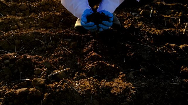 Field soil samples for analysis. Selective focus.