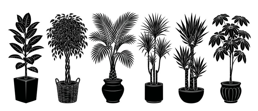 Houseplants silhouette collection in pots, black vector indoor plant set, isolated potted tropical foliage, modern botanical elements for interior design, graphic style home garden decor illustration