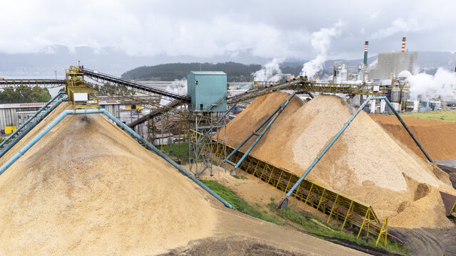Aerial view of the Biofabrica de Ence pulp mill featuring large wood chip piles and industrial conveyor belts under a cloudy sky in Pontevedra, Pontevedra, Spain.