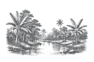 Tropical landscape vector illustration in vintage engraving style depicting a calm river lined with exotic palm trees and lush jungle vegetation. © Chairul