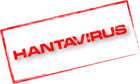 Hantavirus
