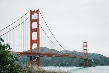 Fototapeta premium golden gate bridge in san francisco