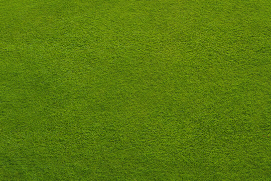 green grass texture - well-groomed turf in the garden or soccer stadium.